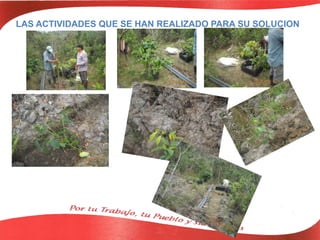 LAS ACTIVIDADES QUE SE HAN REALIZADO PARA SU SOLUCION
 