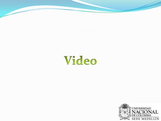 Resortes de Láminas (Ballestas)