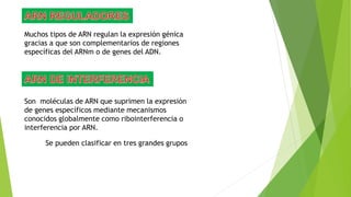 Muchos tipos de ARN regulan la expresión génica
gracias a que son complementarios de regiones
específicas del ARNm o de genes del ADN.
Son moléculas de ARN que suprimen la expresión
de genes específicos mediante mecanismos
conocidos globalmente como ribointerferencia o
interferencia por ARN.
Se pueden clasificar en tres grandes grupos
 