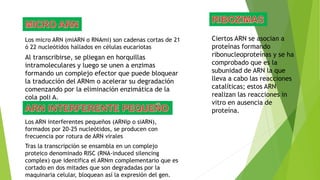 Los micro ARN (miARN o RNAmi) son cadenas cortas de 21
ó 22 nucleótidos hallados en células eucariotas
Al transcribirse, se pliegan en horquillas
intramoleculares y luego se unen a enzimas
formando un complejo efector que puede bloquear
la traducción del ARNm o acelerar su degradación
comenzando por la eliminación enzimática de la
cola poli A.
Los ARN interferentes pequeños (ARNip o siARN),
formados por 20-25 nucleótidos, se producen con
frecuencia por rotura de ARN virales
Tras la transcripción se ensambla en un complejo
proteico denominado RISC (RNA-induced silencing
complex) que identifica el ARNm complementario que es
cortado en dos mitades que son degradadas por la
maquinaria celular, bloquean así la expresión del gen.
Ciertos ARN se asocian a
proteínas formando
ribonucleoproteínas y se ha
comprobado que es la
subunidad de ARN la que
lleva a cabo las reacciones
catalíticas; estos ARN
realizan las reacciones in
vitro en ausencia de
proteína.
 