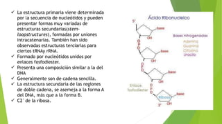  La estructura primaria viene determinada
por la secuencia de nucleótidos y pueden
presentar formas muy variadas de
estructuras secundarias(stem-
loopstructures), formadas por uniones
intracatenarias. También han sido
observadas estructuras terciarias para
ciertos tRNAy rRNA.
 Formado por nucleótidos unidos por
enlaces fosfodiester.
 Presenta una composición similar a la del
DNA
 Generalmente son de cadena sencilla.
 La estructura secundaria de las regiones
de doble cadena, se asemeja a la forma A
del DNA, más que a la forma B.
 C2´ de la ribosa.
 
