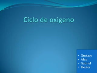 • Gustavo
• Alex
• Gabriel
• Héctor
 