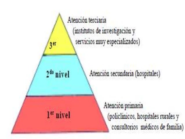 Que Son Los Niveles De Atencion En Salud Gufa - vrogue.co