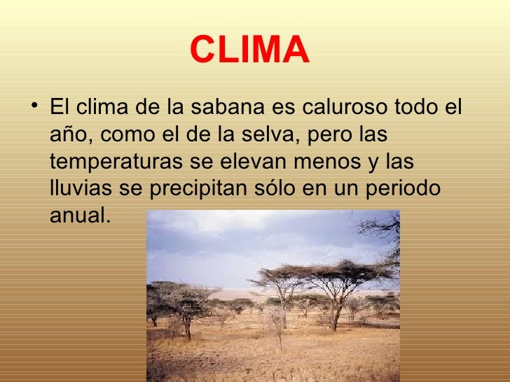 Exposicion sabana Exposicion sabana