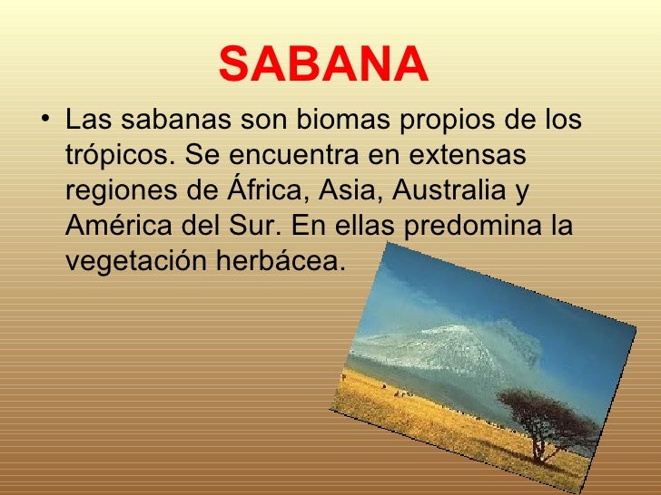 Exposicion sabana