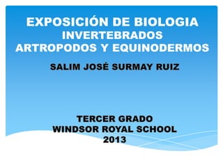 EXPOSICIÓN DE BIOLOGIA
INVERTEBRADOS
ARTROPODOS Y EQUINODERMOS
 