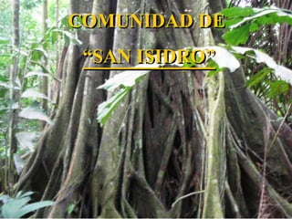 COMUNIDAD DE  “ SAN ISIDRO” 