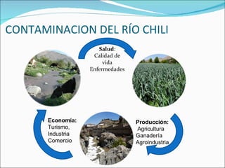 CONTAMINACION DEL RÍO CHILI Salud : Calidad de vida Enfermedades Economía:  Turismo,  Industria Comercio  Producción: Agricultura Ganadería Agroindustria 