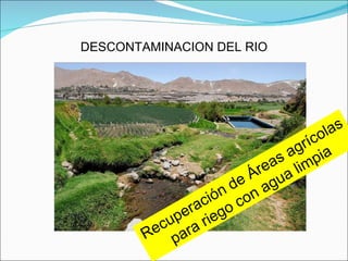 DESCONTAMINACION DEL RIO Recuperación de Áreas agrícolas para riego con agua limpia 