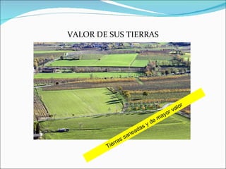VALOR DE SUS TIERRAS Tierras saneadas y de mayor valor 
