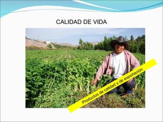 CALIDAD DE VIDA Productos de calidad y de exportación 