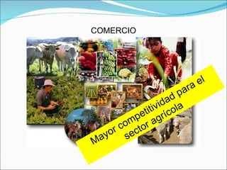 COMERCIO Mayor competitividad para el sector agrícola 