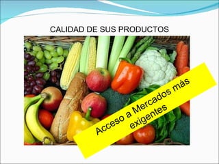 CALIDAD DE SUS PRODUCTOS Acceso a Mercados más exigentes 