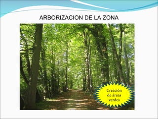 ARBORIZACION DE LA ZONA Creación de áreas verdes 