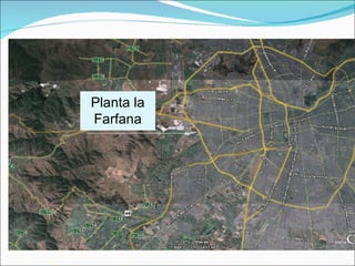 Planta la Farfana 