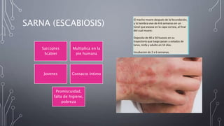 SARNA (ESCABIOSIS)
Sarcoptes
Scabiei
Multiplica en la
pie humana
Jovenes Contacto íntimo
Promiscuidad,
falta de higiene,
pobreza
 