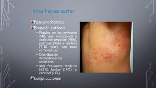 Fase prodrómica
Erupción cutánea
• Pápulas en las primeras
24h, que evolucionan a
vesículas-ampollas (48h),
pústulas (96h) y costras
(7-10 días), con base
eritematosa
• Distribución
dermatomérica
unilateral
• Más frecuente torácico
(62%), lumbar (14%) y
cervical (11%)
Complicaciones
Virus herpes zoster
 