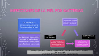 Las bacterias se
consideran parte de la
flora normal de la piel.
Las bacterias patogénicas
invaden la piel pueden
desarrollarse infecciones
superficiales o sistémicas.
Las infecciones cutáneas
bacterianas se clasifican
primarias o secundarias.
Las infecciones
secundarias más
profundas, como las
úlceras infectadas
Las infecciones
primarias superficiales,
como el impétigo o el
ectima.
MISMO
ORGANISMO
SOBREINFECCIÓ
N
MANIFESTACIONES CUTANEAS DE INFECCIONES EN OTROS ORGANOS O SISTEMAS:
ESCARLATINA
LESIONES CUTANEAS: REACCION A UNA INFECCIÓN
 