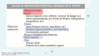 Bordeianou, L., & Yeh, D. D. (2020). Management of small bowel
obstruction in adults. U: UpToDate, Raghavendran K ed. UpToDate
[Internet]. Waltham, MA: UpToDate.
 
