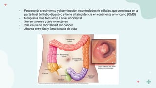 - Proceso de crecimiento y diseminación incontrolados de células, que comienza en la
parte ﬁnal del tubo digestivo y tiene alta incidencia en continente americano (OMS)
- Neoplasia más frecuente a nivel occidental
- 3ro en varones y 2do en mujeres
- 2da causa de mortalidad por cáncer
- Abarca entre 5ta y 7ma década de vida
 