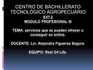 EXT.2
MODULO PROFESIONAL III
TEMA: servicios que se pueden ofrecer o
conseguir en online.
DOCENTE: Lic. Alejandra Figueroa Segura.
EQUIPO: Real G4 Life.
CENTRO DE BACHILLERATO
TECNOLÓGICO AGROPECUARIO
 