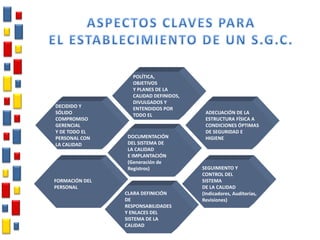DECIDIDO Y
SÓLIDO
COMPROMISO
GERENCIAL
Y DE TODO EL
PERSONAL CON
LA CALIDAD
DOCUMENTACIÓN
DEL SISTEMA DE
LA CALIDAD
E IMPLANTACIÓN
(Generación de
Registros) SEGUIMIENTO Y
CONTROL DEL
SISTEMA
DE LA CALIDAD
(Indicadores, Auditorías,
Revisiones)
ADECUACIÓN DE LA
ESTRUCTURA FÍSICA A
CONDICIONES ÓPTIMAS
DE SEGURIDAD E
HIGIENE
FORMACIÓN DEL
PERSONAL
POLÍTICA,
OBJETIVOS
Y PLANES DE LA
CALIDAD DEFINIDOS,
DIVULGADOS Y
ENTENDIDOS POR
TODO EL
PERSONAL
CLARA DEFINICIÓN
DE
RESPONSABILIDADES
Y ENLACES DEL
SISTEMA DE LA
CALIDAD
 