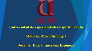 Universidad de especialidades Espíritu Santo
Materia: Morfofisiología
Docente: Dra. Francelina Espinoza
 