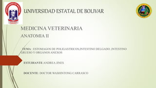 UNIVERSIDAD ESTATAL DE BOLIVAR
MEDICINA VETERINARIA
ANATOMIA II
TEMA : ESTOMAGOS DE POLIGASTRICOS,INTESTINO DELGADO ,INTESTINO
GRUESO Y ORGANOS ANEXOS
ESTUDIANTE:ANDREA JINES
DOCENTE: DOCTOR WASHINTONG CARRASCO
 