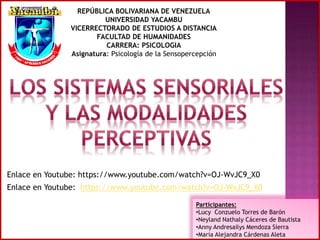 REPÚBLICA BOLIVARIANA DE VENEZUELA 
UNIVERSIDAD YACAMBU 
VICERRECTORADO DE ESTUDIOS A DISTANCIA 
FACULTAD DE HUMANIDADES 
CARRERA: PSICOLOGIA 
Asignatura: Psicología de la Sensopercepción 
Enlace en Youtube: https://www.youtube.com/watch?v=OJ-WvJC9_X0 
Enlace en Youtube: https://www.youtube.com/watch?v=OJ-WvJC9_X0 
Participantes: 
•Lucy Conzuelo Torres de Barón 
•Neyland Nathaly Cáceres de Bautista 
•Anny Andresailys Mendoza Sierra 
•María Alejandra Cárdenas Aleta 
 