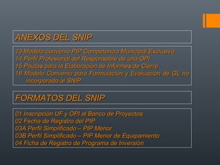 Exposicion snip | PPT