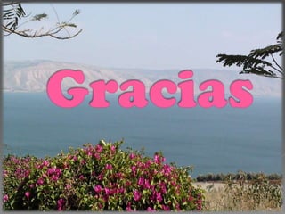 Gracias