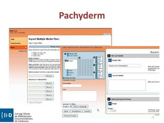 Pachyderm
71
 