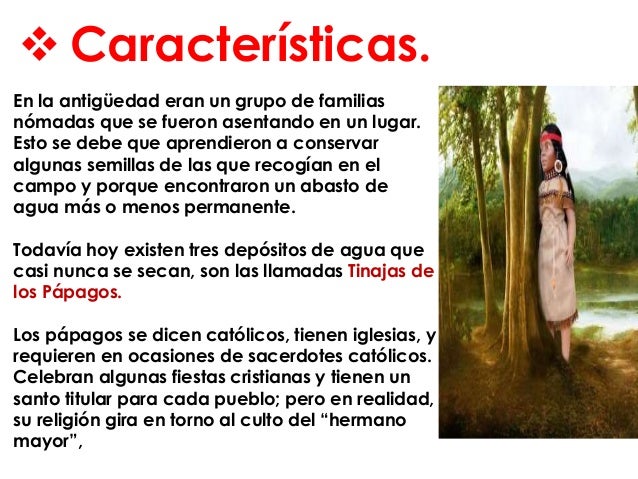 Exposicion Papagos de sonora.