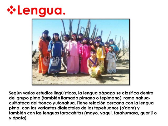 Exposicion Papagos de sonora.