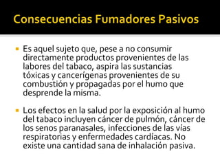  Es aquel sujeto que, pese a no consumir
directamente productos provenientes de las
labores del tabaco, aspira las sustancias
tóxicas y cancerígenas provenientes de su
combustión y propagadas por el humo que
desprende la misma.
 Los efectos en la salud por la exposición al humo
del tabaco incluyen cáncer de pulmón, cáncer de
los senos paranasales, infecciones de las vías
respiratorias y enfermedades cardíacas. No
existe una cantidad sana de inhalación pasiva.
 