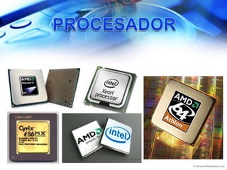 PROCESADOR