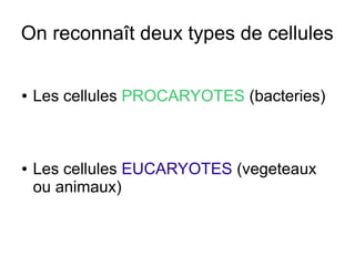 On reconnaît deux types de cellules
●

●

Les cellules PROCARYOTES (bacteries)

Les cellules EUCARYOTES (vegeteaux
ou animaux)

 