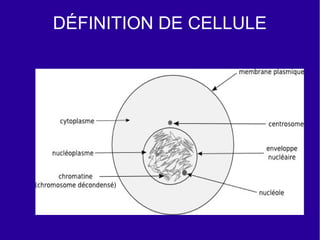 DÉFINITION DE CELLULE

 