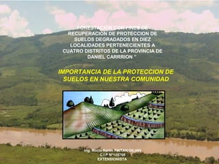 IMPACTO AMBIENTAL: CON FINES DE
          FORESTACION Deforestación
           RECUPERACION DE PROTECCION DE
             SUELOS DEGRADADOS EN DIEZ
            LOCALIDADES PERTENECIENTES A
         CUATRO DISTRITOS DE LA PROVINCIA DE
                  DANIEL CARRRION ”


       IMPORTANCIA DE LA PROTECCION DE
         SUELOS EN NUESTRA COMUNIDAD




                Ing. Rocio Karim PAITAN GILIAN
                         C.I.P N°129766
                       EXTENSIONISTA
 