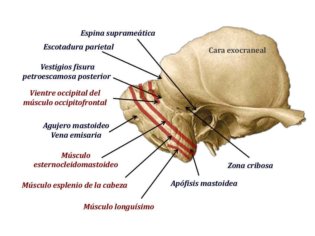Exposicion temporal terminada