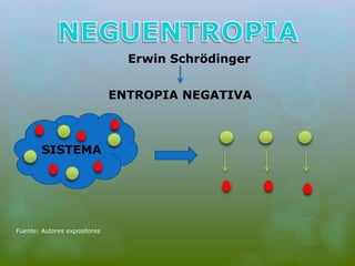 Fuente: Autores expositores 
ENTROPIA NEGATIVA 
SISTEMA 
Erwin Schrödinger 
 