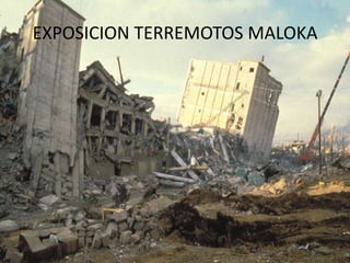 EXPOSICION TERREMOTOS MALOKA
 