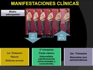 MANIFESTACIONES CLÍNICAS
10-
20%
%08
-09
RIESGO
1er. Trimestre
Muerte
Defectos severos
2° trimestres
Triada clásica:
Hidrocefalia,
calcificaciones
intracraneales y
corioretinitis.
3er. Trimestre
Neonatos son
asintomáticos
Madre:
adenopatías!
 