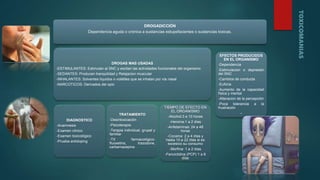 DROGADICCIÓN
Dependencia aguda o crónica a sustancias estupefacientes o sustancias toxicas.
DROGAS MAS USADAS
-ESTIMULANTES: Estimulan al SNC y excitan las actividades funcionales del organismo
-SEDANTES: Producen tranquilidad y Relajacion muscular
-INHALANTES: Solventes líquidos o volátiles que se inhalan por vía nasal
-NARCOTICOS: Derivados del opio
DIAGNOSTICO
-Anamnesis
-Examen clínico
-Examen toxicológico
-Prueba antidoping
TRATAMIENTO
-Desintoxicación
-Psicoterapia
-Terapia individual, grupal y
familiar
-TX farmacológico:
fluoxetina, trazodone,
carbamazepina
TIEMPO DE EFECTO EN
EL ORGANISMO
-Alcohol:3 a 10 horas
-Heroína:1 a 2 días
-Anfetaminas: 24 a 48
horas
-Cocaína: 2 a 4 días y
hasta 10 a 22 días si es
excesivo su consumo
-Morfina: 1 a 2 días
-Fenciclidina (PCP) 1 a 8
días
EFECTOS PRODUCIDOS
EN EL ORGANISMO
-Dependencia
-Estimulacion o depresión
del SNC
-Cambios de conducta
-Euforia
-Aumento de la capacidad
física y mental
-Alteracion de la percepción
-Poca tolerancia a la
frustración
-
 