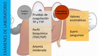EXÁMENESDELABORATORIO
Pruebas de
coagulación
TP y TTP
Perfil
bioquímico
(TGO,TGP)
Anemia
moderada
Analítica
sangre:
Valores
enzimáticos
Suero
sanguíneo
Marcadores
bioquímicos
 