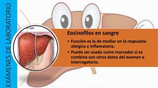 EXÁMENESDELABORATORIO
Eosinofilos en sangre
• Función es la de mediar en la respuesta
alérgica e inflamatoria.
• Puede ser usado como marcador si se
combina con otros datos del examen e
interrogatorio.
 