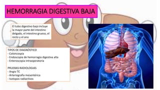 HEMORRAGIA DIGESTIVA BAJA
El tubo digestivo bajo incluye
la mayor parte del intestino
delgado, el intestino grueso, el
recto y el ano
TIPOS DE DIAGNÓSTICO
- Coloncospia
- Endoscopia de hemorragia digestiva alta
- Enteroscopia intraoperatoria
PRUEBAS RADIOLOGIAS
- Angio TC
- Arteriografía mesentérica
- Isotopos radiactivos
 
