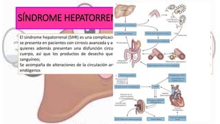 SÍNDROME HEPATORRENAL
El síndrome hepatorrenal (SHR) es una complicación grave de la enfermedad hepática terminal, el cual
se presenta en pacientes con cirrosis avanzada y ascitis
quienes además presentan una disfunción circulatorio muy marcada; se elimina menos orina del
cuerpo, así que los productos de desecho que contienen nitrógeno se acumulan en el torrente
sanguíneo;
Se acompaña de alteraciones de la circulación arterial y de la activación de los sistemas vaso-activos
endógenos
 