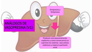 ANÁLOGOS DE
VASOPRESINA (V1)
Ornipresina y
Terlipresina
Producen una vasoconstricción
esplácnica y como consecuencia se
suprimen los sistemas vaso-activos
sistémicos y mejora la perfusión
renal
 