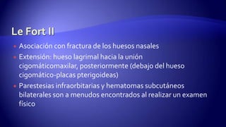  Asociación con fractura de los huesos nasales
 Extensión: hueso lagrimal hacia la unión
cigomáticomaxilar, posteriormente (debajo del hueso
cigomático-placas pterigoideas)
 Parestesias infraorbitarias y hematomas subcutáneos
bilaterales son a menudos encontrados al realizar un examen
físico
 